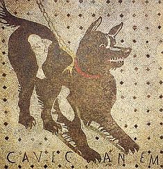 Image:CaveCanem.jpg
